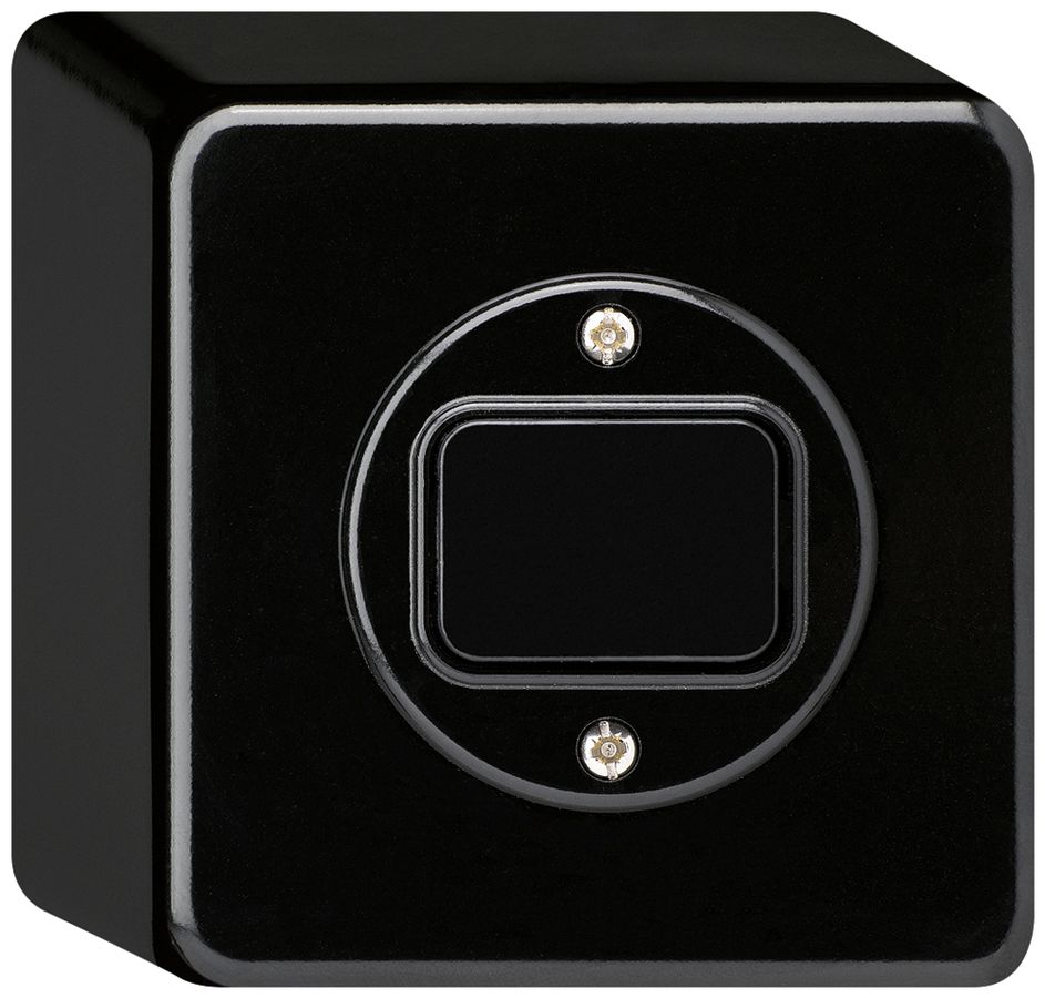 AP-Druckschalter basico 6/1L schwarz