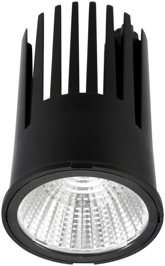 Modulo LED INS per LUDOSPOT 50, 230V 12W 1000lm 4000K 28° regolabile nero