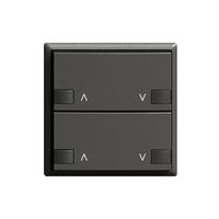 Taster ZEP 2K/2T Motor Hauptstelle EDIZIOdue schwarz