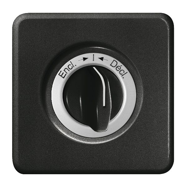 UP-Frontset Encl.-I-Décl.sz für Schwenktaster FH