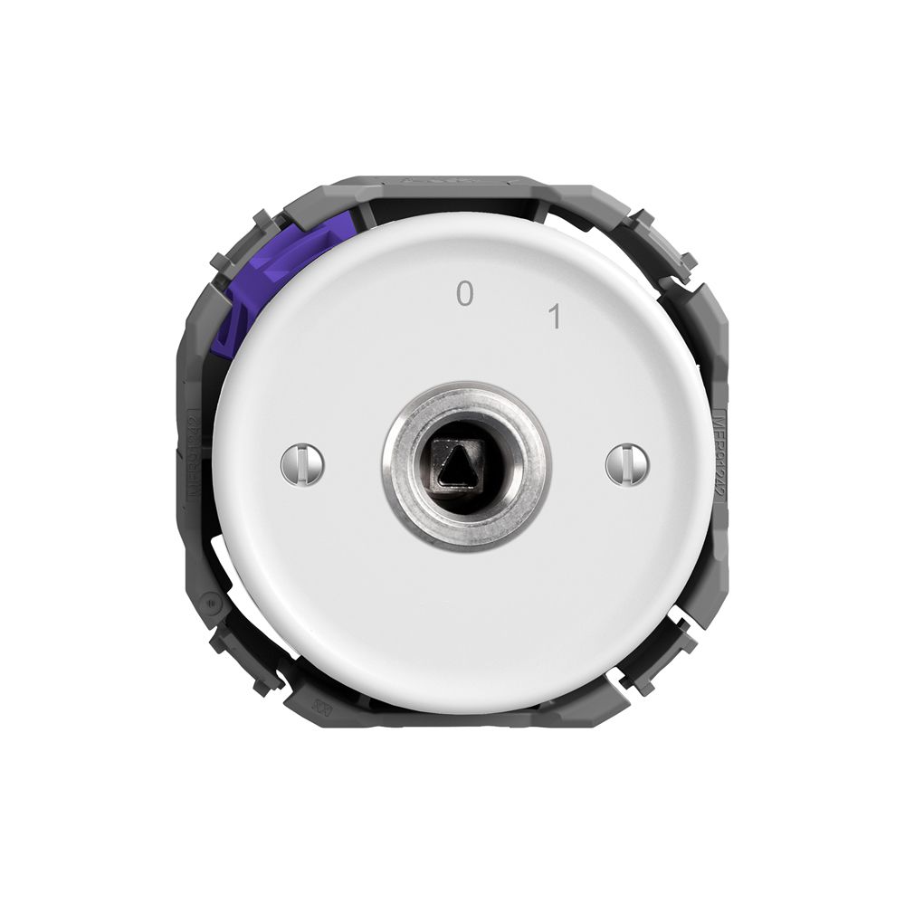 Interruttore a chiave STANDARDdue 1P quadra./triang.20A 690V 0-1 bi