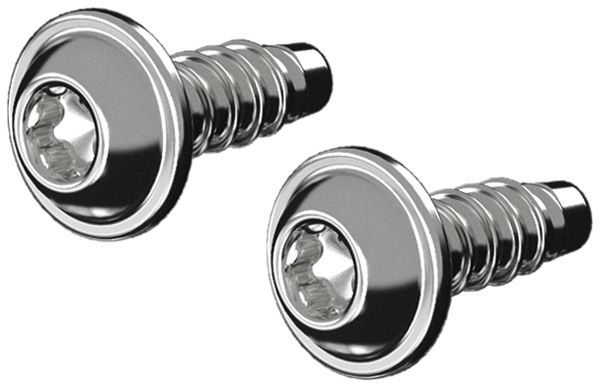 Schraube Rittal AX 1485.300 14mm TX M5 Linsenkopf 50Stk