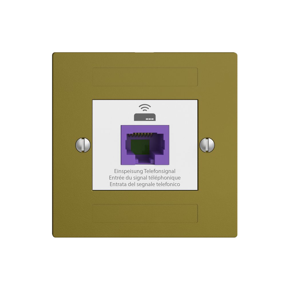 Prise de retour EDIZIOdue F 1×RJ45 p.Swisscom VoIP, 8 pôles, UTP, olive