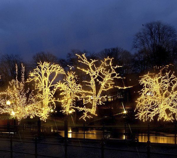 Rete luminosa System LED Extra, 3×3m, nero, 16W, 192 LED, bianco caldo