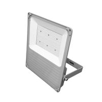 Projecteur à LED RayFlex 75 75W 10125lm 4000K IP65