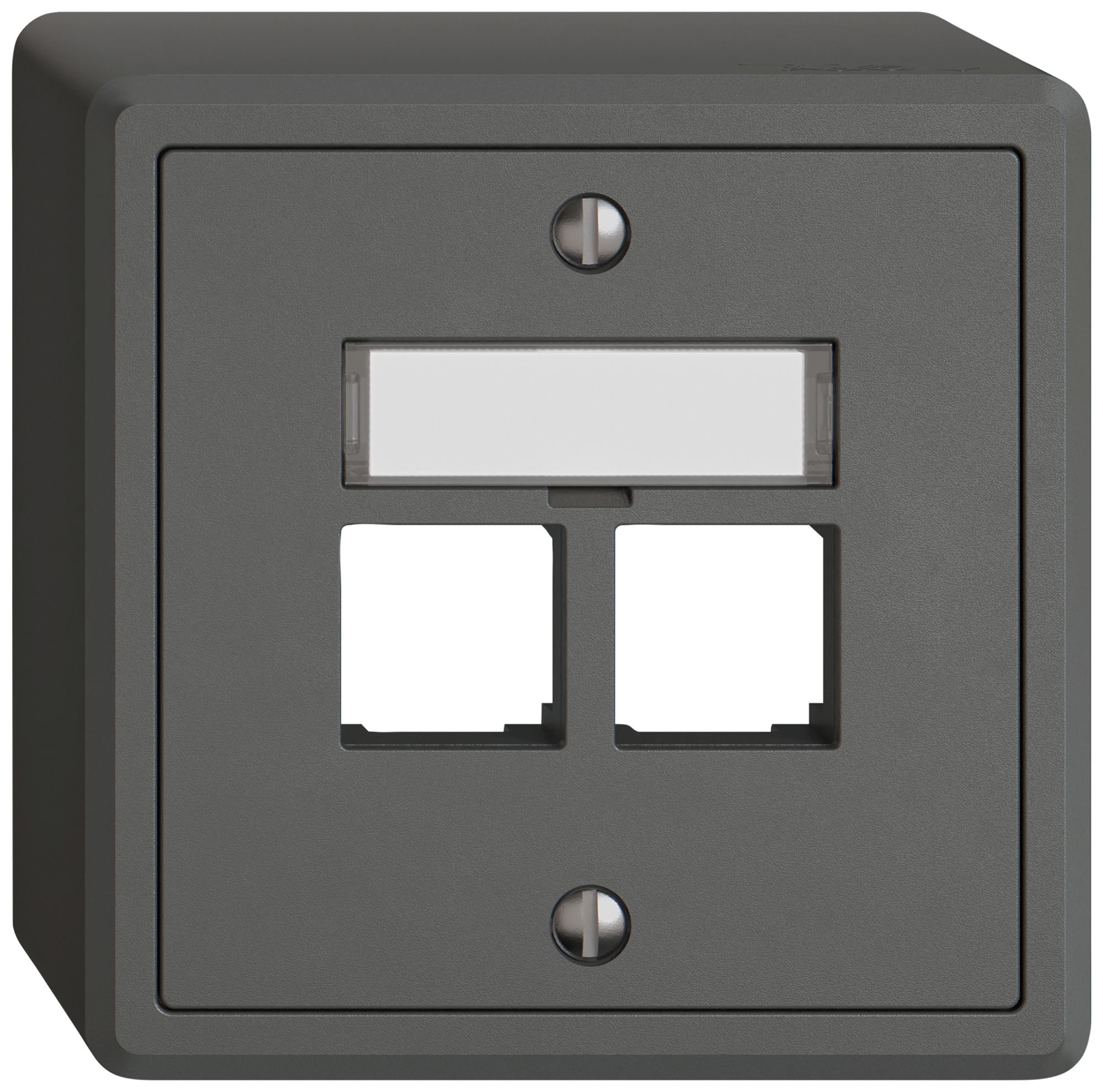 AP-Montageset EDIZIO.liv EASYNET S-One SNAPFIX® gerade 2×RJ45 dgu