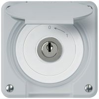 Contatto rotativo a chiave INC robusto IP55 grigio con coperchio 2P