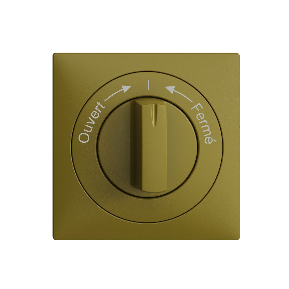Frontset EDIZIOdue Ouvert->I<-Fermé olive 60×60mm für Schwenktaster