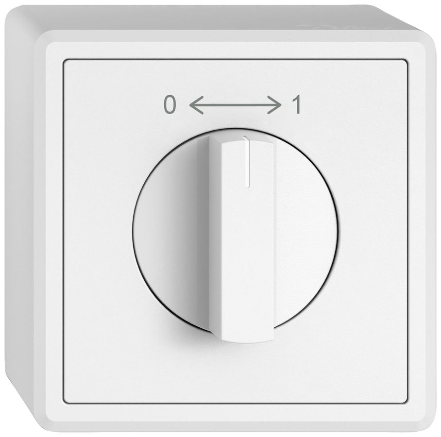 AP-Schwenktaster EDIZIO.liv SNAPFIX® 0<->1/1P mit Drehgriff ws