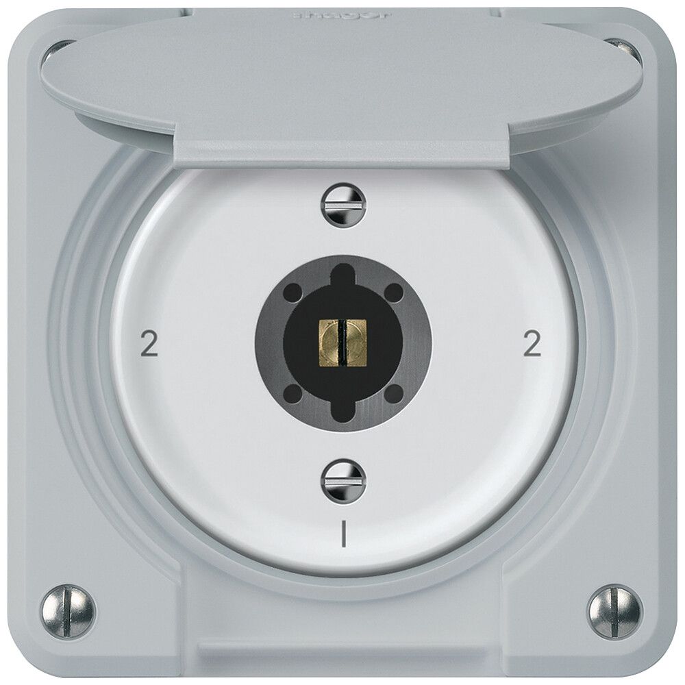 Interruttore a chiave robusto deviatore 16A 250V 86×86mm grigio