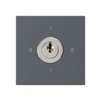 Einsatz zu Schlüsselschalter kallysto 3/1L anthrazit mit Schloss Kaba 8