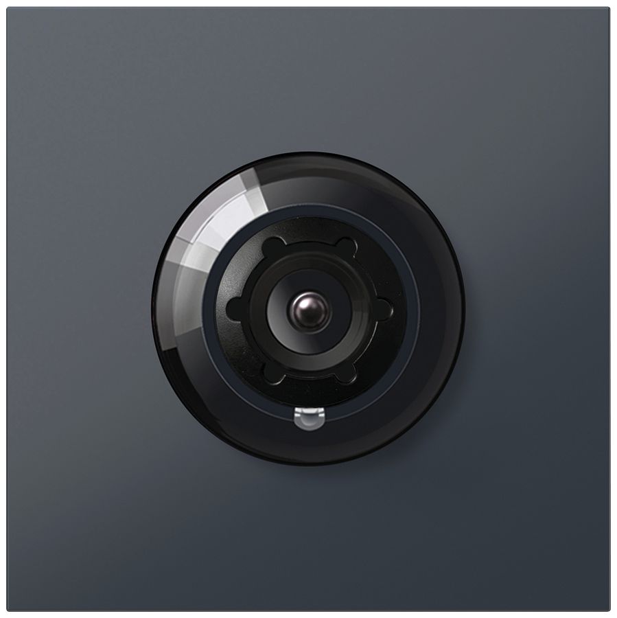 Module caméra Siedle Vario système bus 24V DC 175° PTZ anthracite