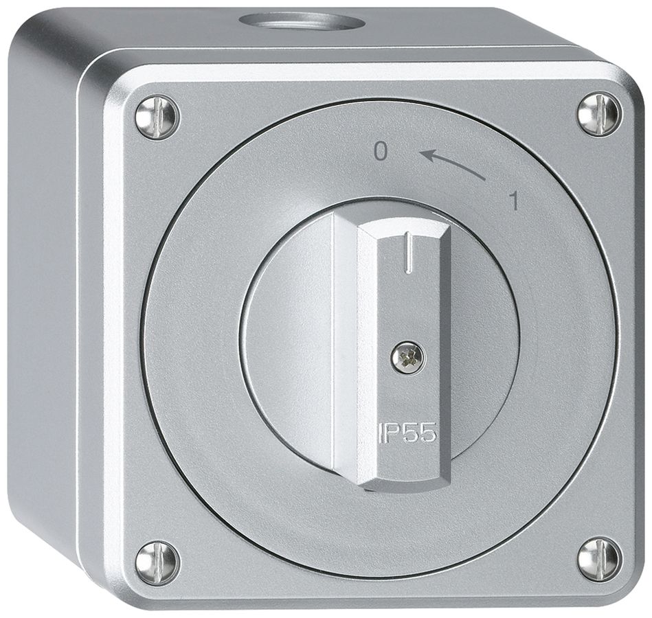 AP-Schwenktaster robusto IP55 aluminium 2P
