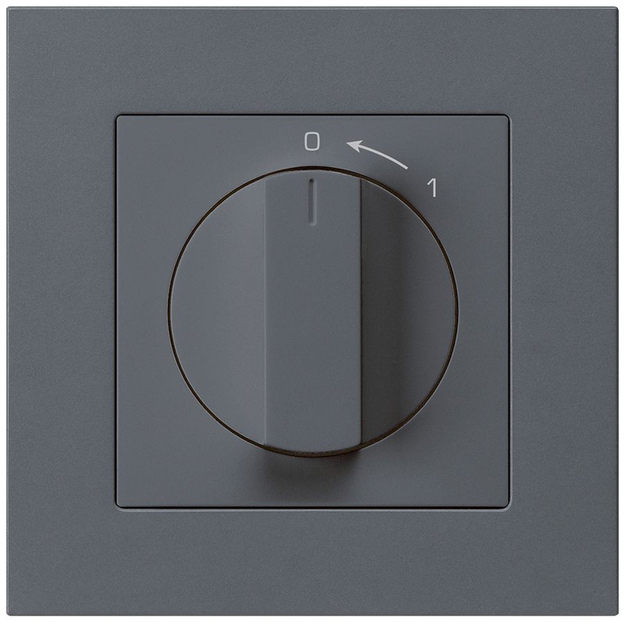 UP-SchwenkTaster 0<-1/1L anthrazit kallysto.pro mit Drehgriff