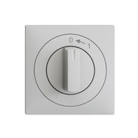 Frontset EDIZIOdue 0<-1 hellgrau 60×60mm für Schwenktaster