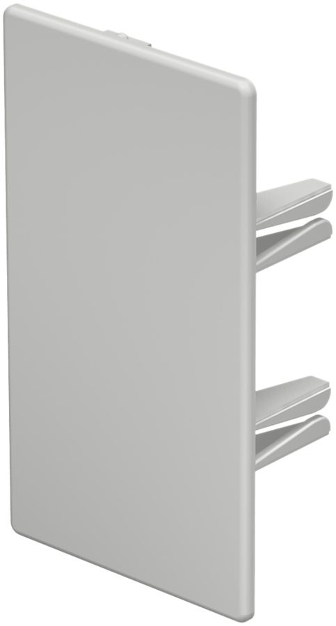 Plaque de fermeture Bettermann pour canal d'installation WDK gris clair 60×110mm