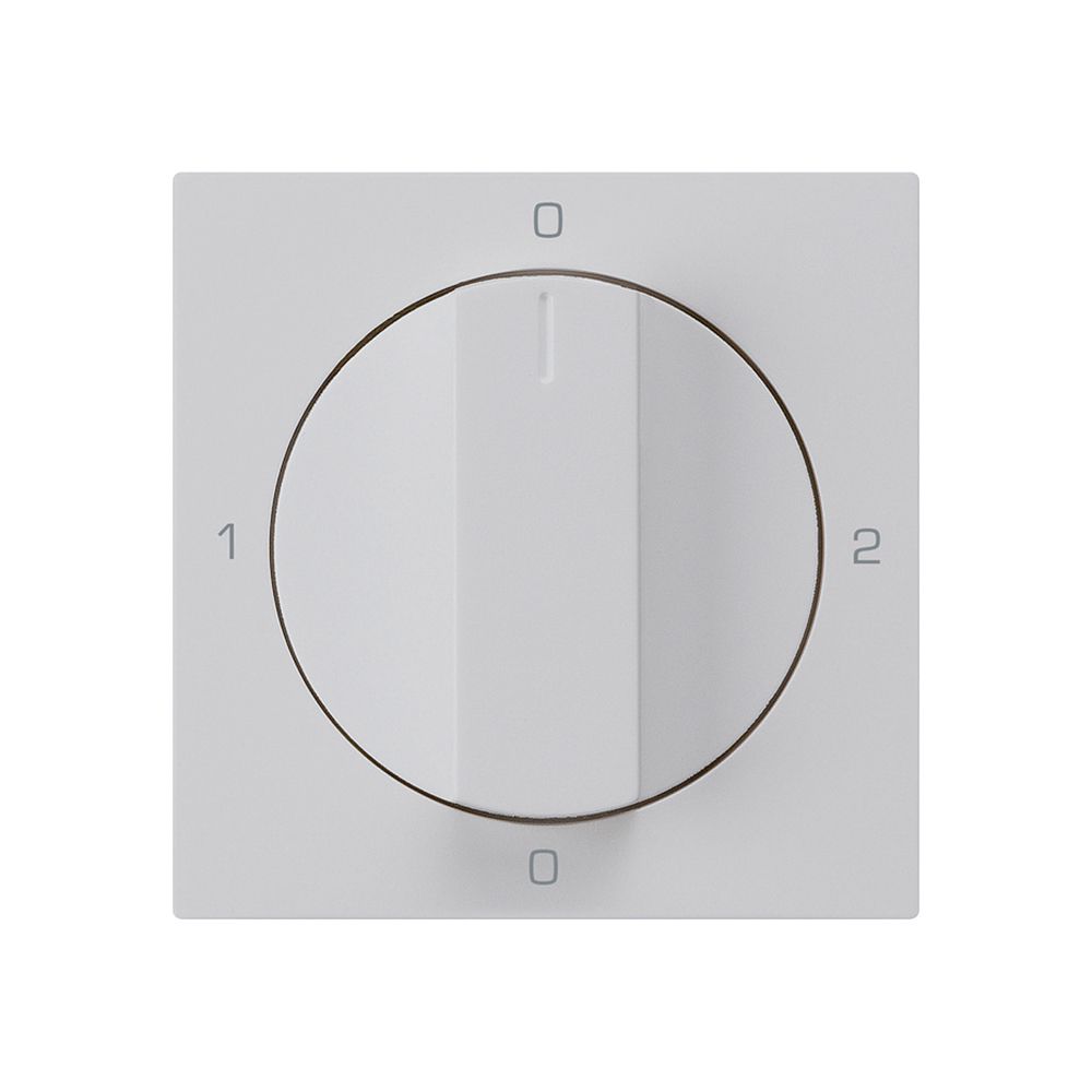 Einsatz zu Drehschalter kallysto 2/1L hellgrau mit Drehgriff