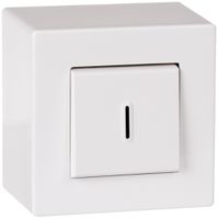 Interruttore temp. AP ATO 25s-15min bianco grd.I