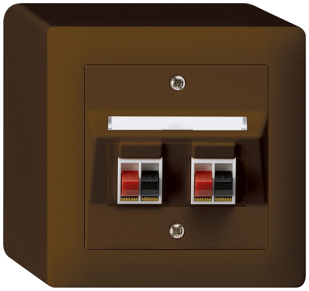 AP-Audiodose kallysto 2×braun Klemmanschluss für 2 LS