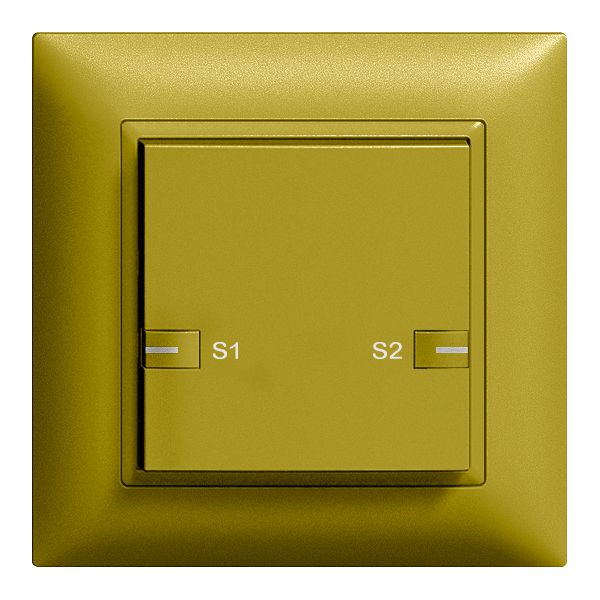 Tasto INC ZEP scena 1c/1t staz.centr/sec. con LED EDIZIOdue olive