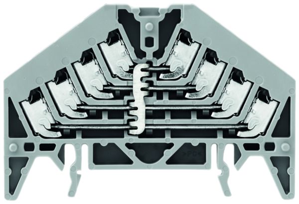 Potentialverteilerklemme Weidmüller PPV 4L PUSH IN TS35×7.5 grau