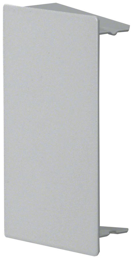 Endstück Hager tehalit.LFS 100×60mm Zink IP30