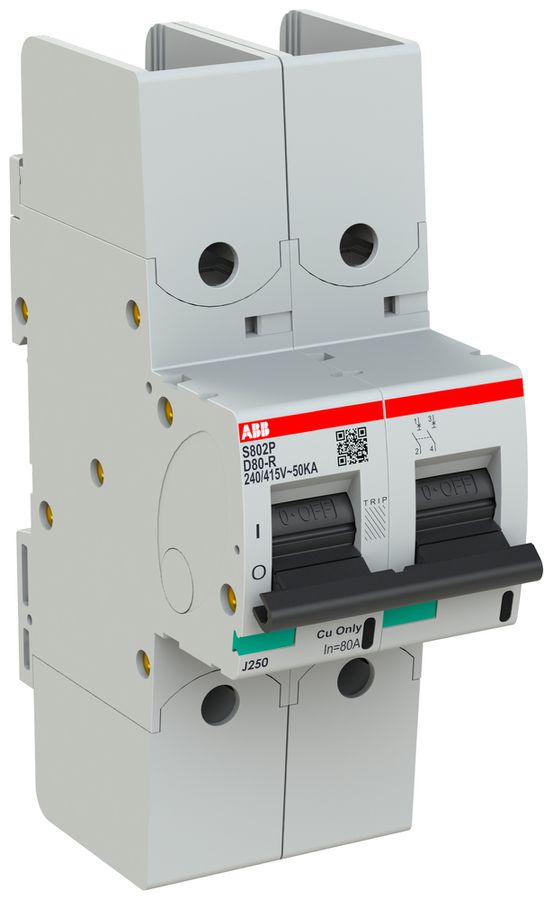 Disgiuntore ABB S802P-D80-R 2P 400V D-80A 50kA 3UM