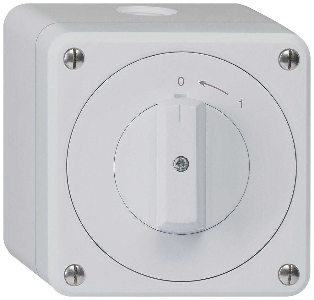 AP-Schwenktaster robusto IP55 grau 1P