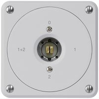 UP-Steckschlüsselschalter robusto ohne Klappdeckel 1/1P grau Kombi Vierkant