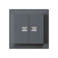 Contact à poussoir lumineux ENC kallysto 2×A-R/1P avec 2 lentilles anthracite
