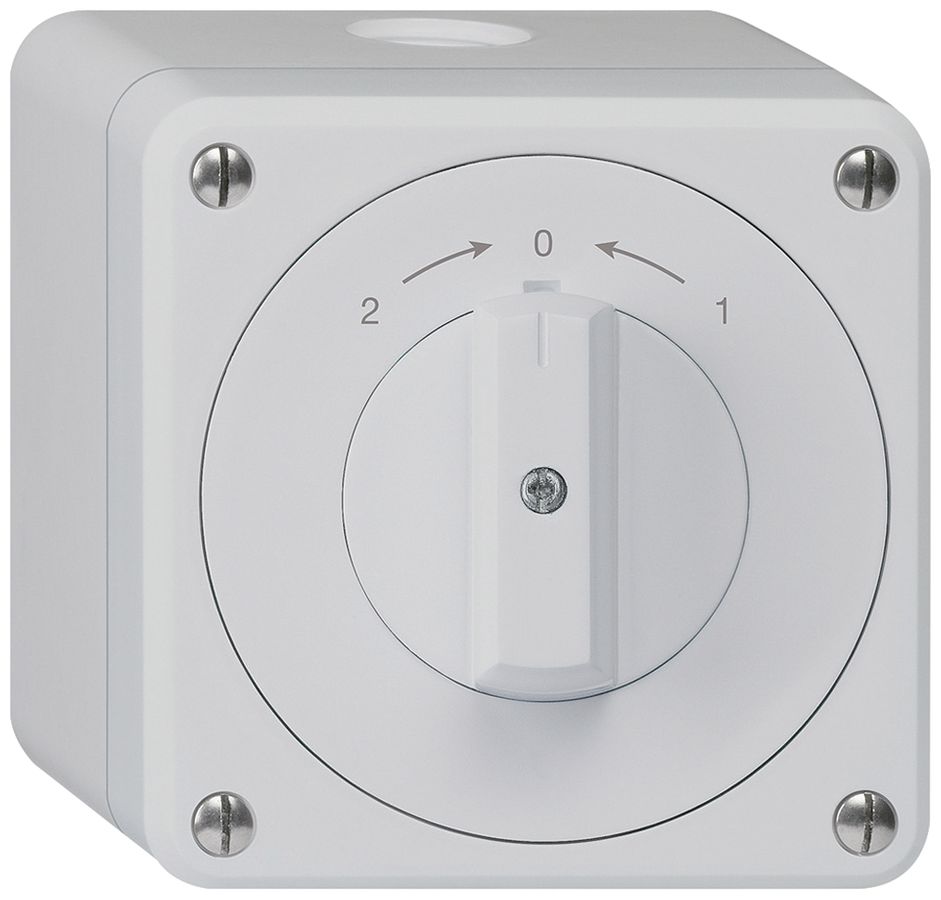 AP-Schwenktaster robusto IP55 grau Wechsler