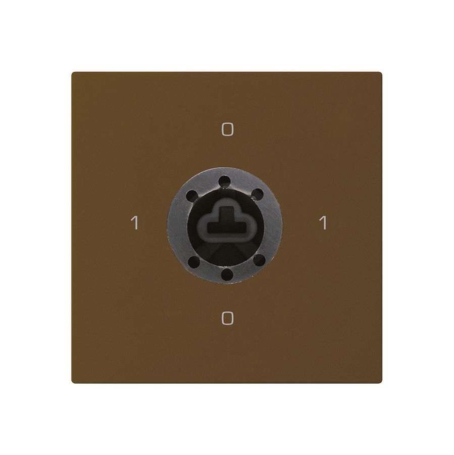 Intérieur interrupteur à clé kallysto 0/1L brun p.serrure de sûreté s.cylindre