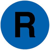 Druckhaube Eaton M22-XDL-B-X6 blau flach "R" Ø22.5mm Ø22.2×24×3mm