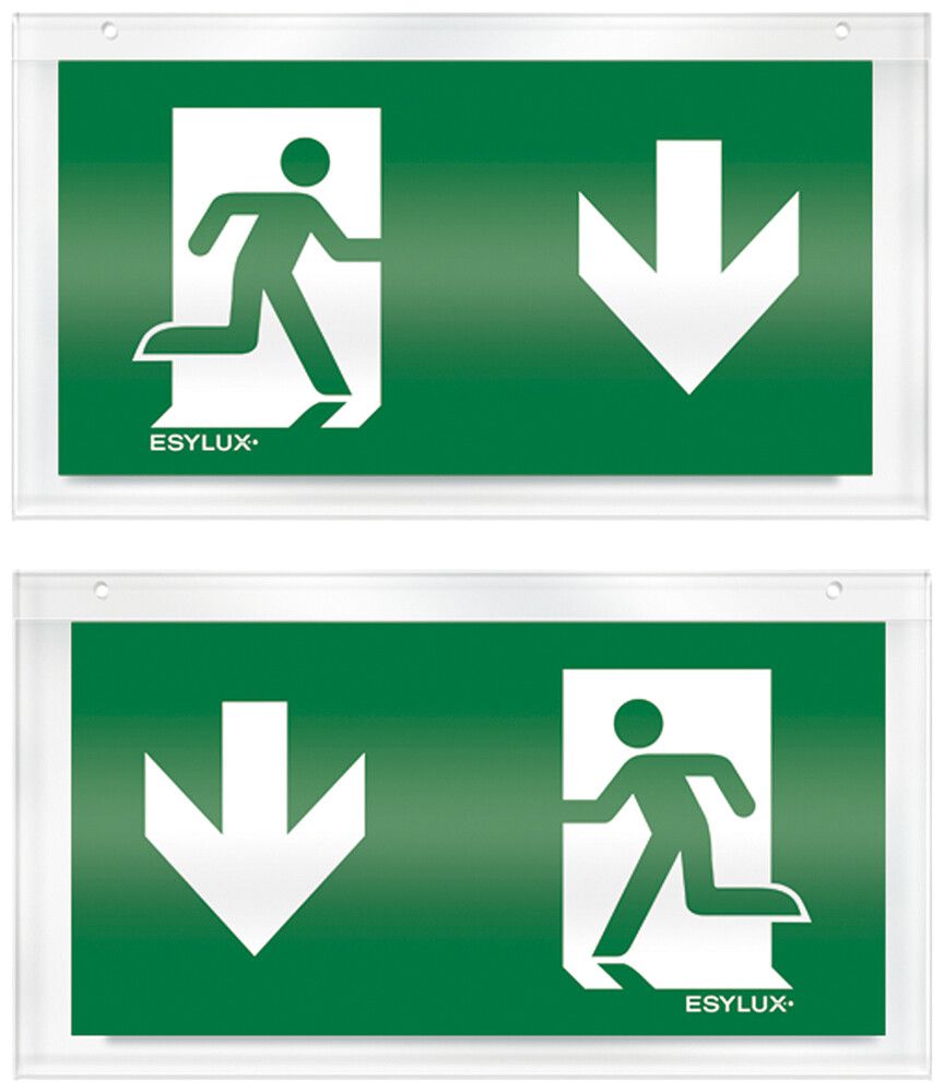 Plaque avec pictogramme ESYLUX pour SLX recto/verso flèche vers le bas/bas