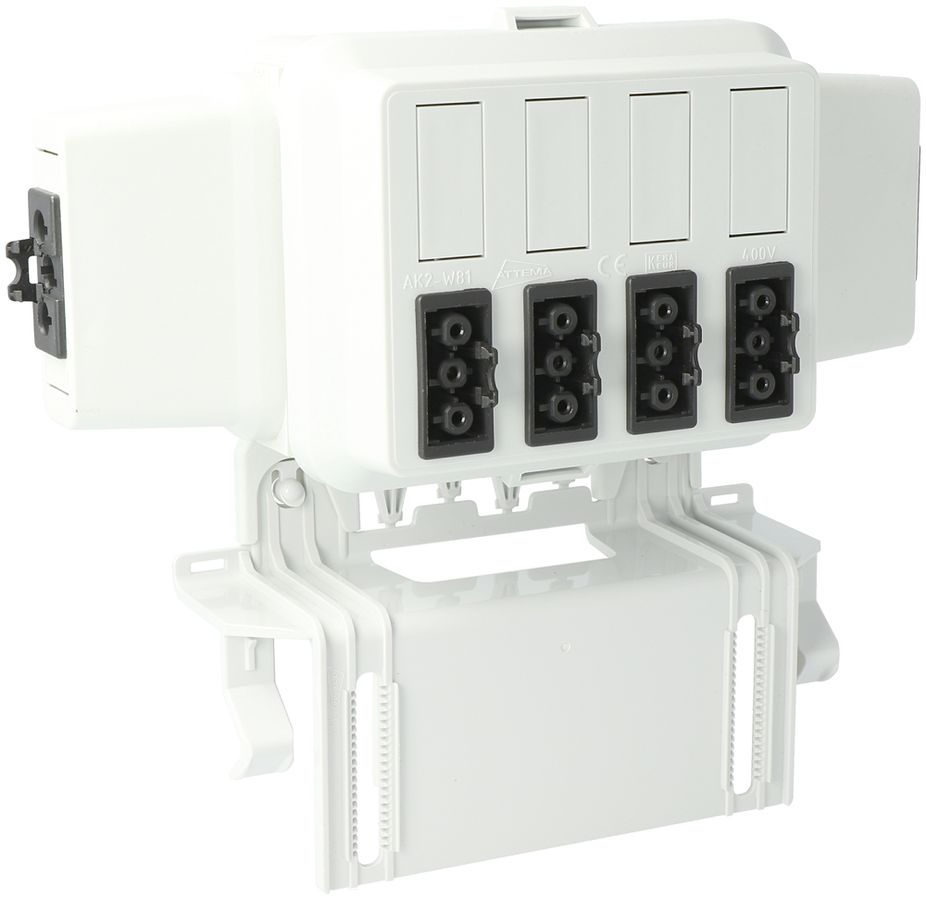 Boîtier AGRO, in: 3P no, out :4×3P no L1, Wieland