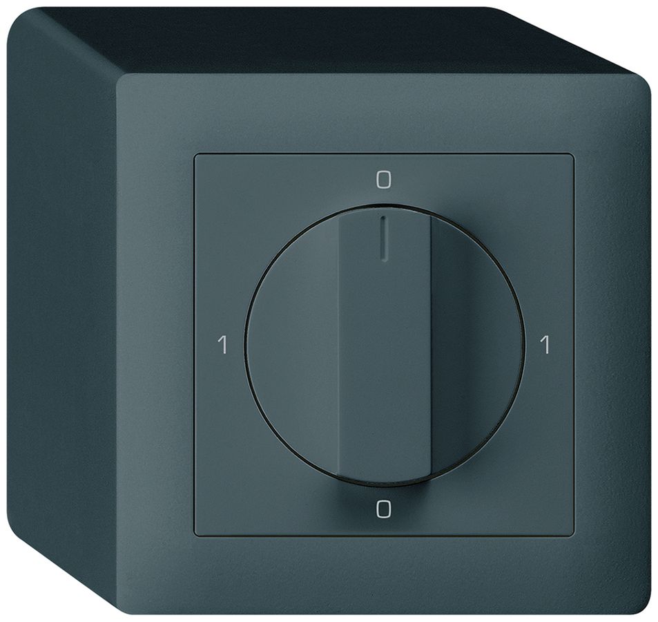 AP-Drehschalter kallysto 2/1L anthrazit 0-A-0-M mit Drehgriff