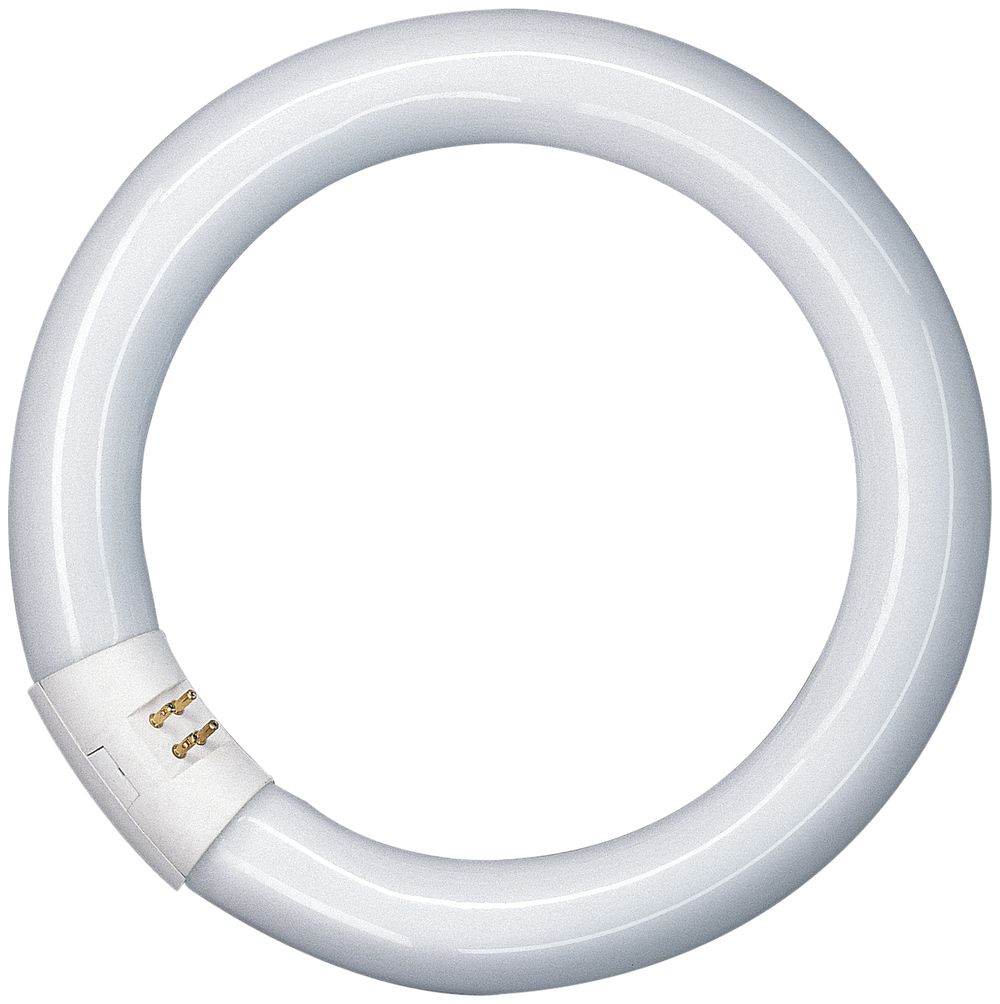 Tubo fluorescente Circline Osram L 32W/840 C cool white
