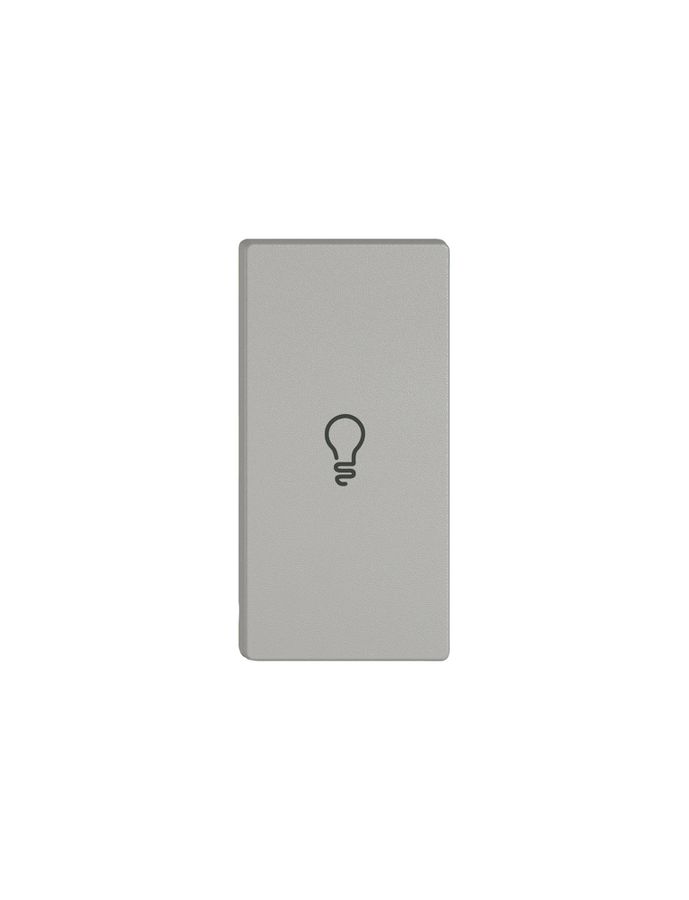 Poussoir 1/2 EDIZIO.liv Wiser avec SNAPFIX® horiz.avec symbole éclairage grc