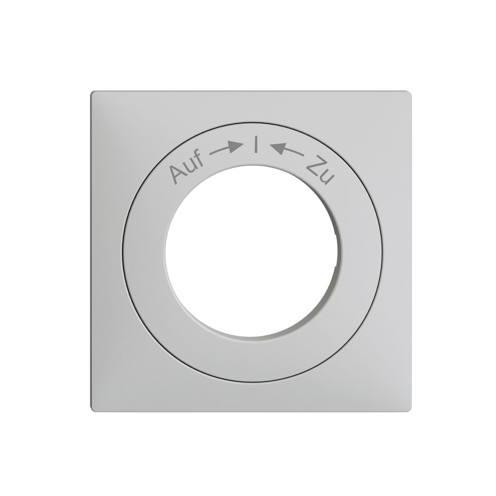 Frontset EDIZIOdue Auf->I<-Zu hellgrau 60×60mm für Schwenktaster