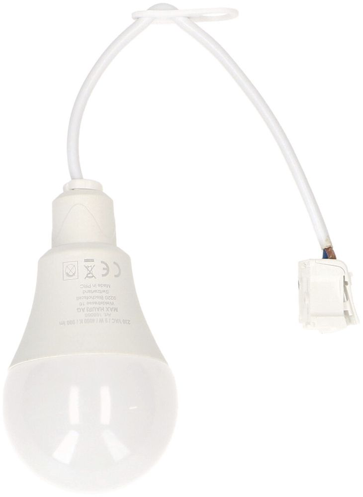 Luminaire de chantier LED MAX HAURI 9W 900lm 4000K câble 170mm avec borne IP20