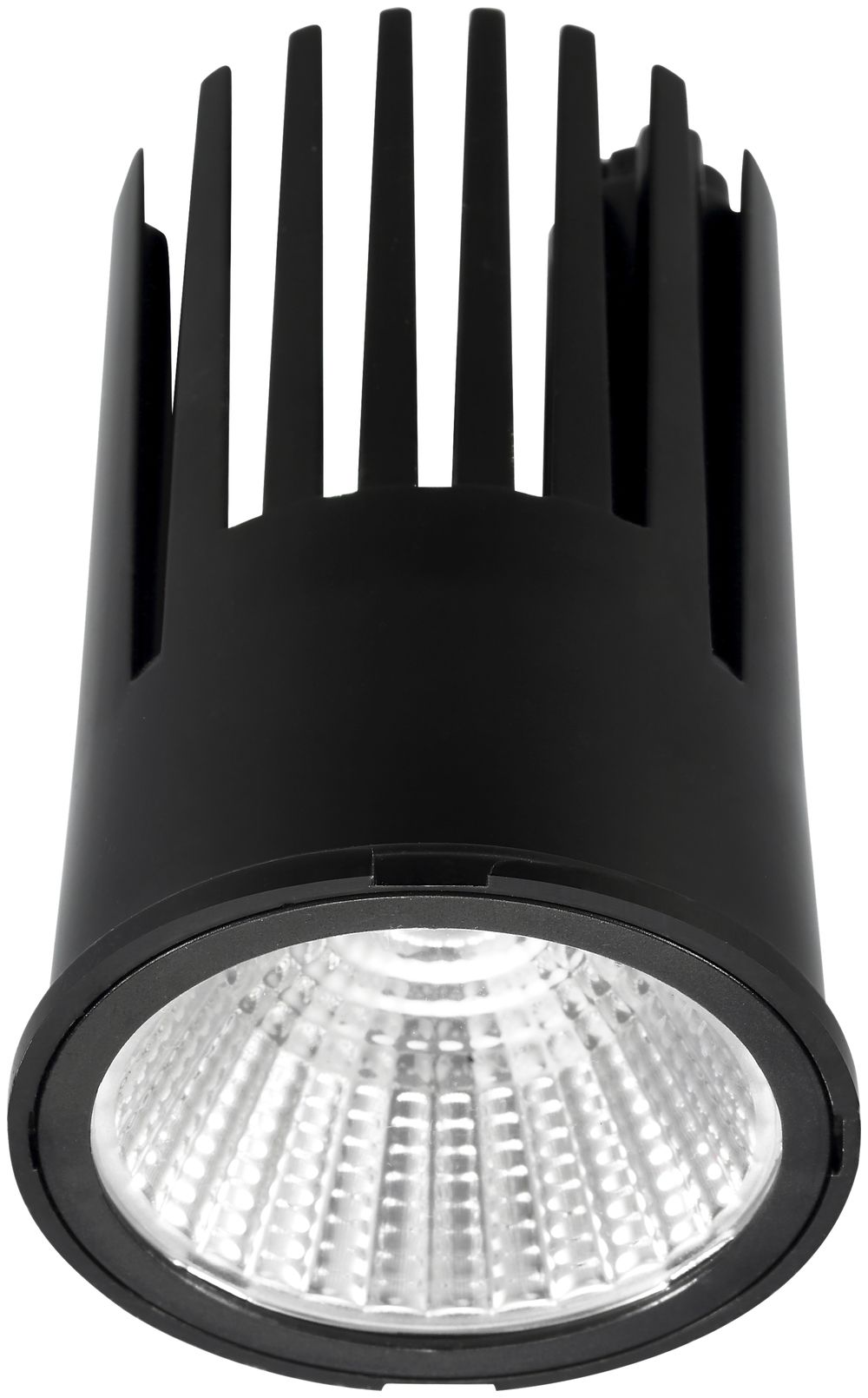 Modulo LED INS per LUDOSPOT 50, 230V 12W 1000lm 4000K 28° regolabile nero