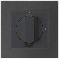 UP-Drehschalter kallysto.pro 0/2L schwarz mit Drehgriff