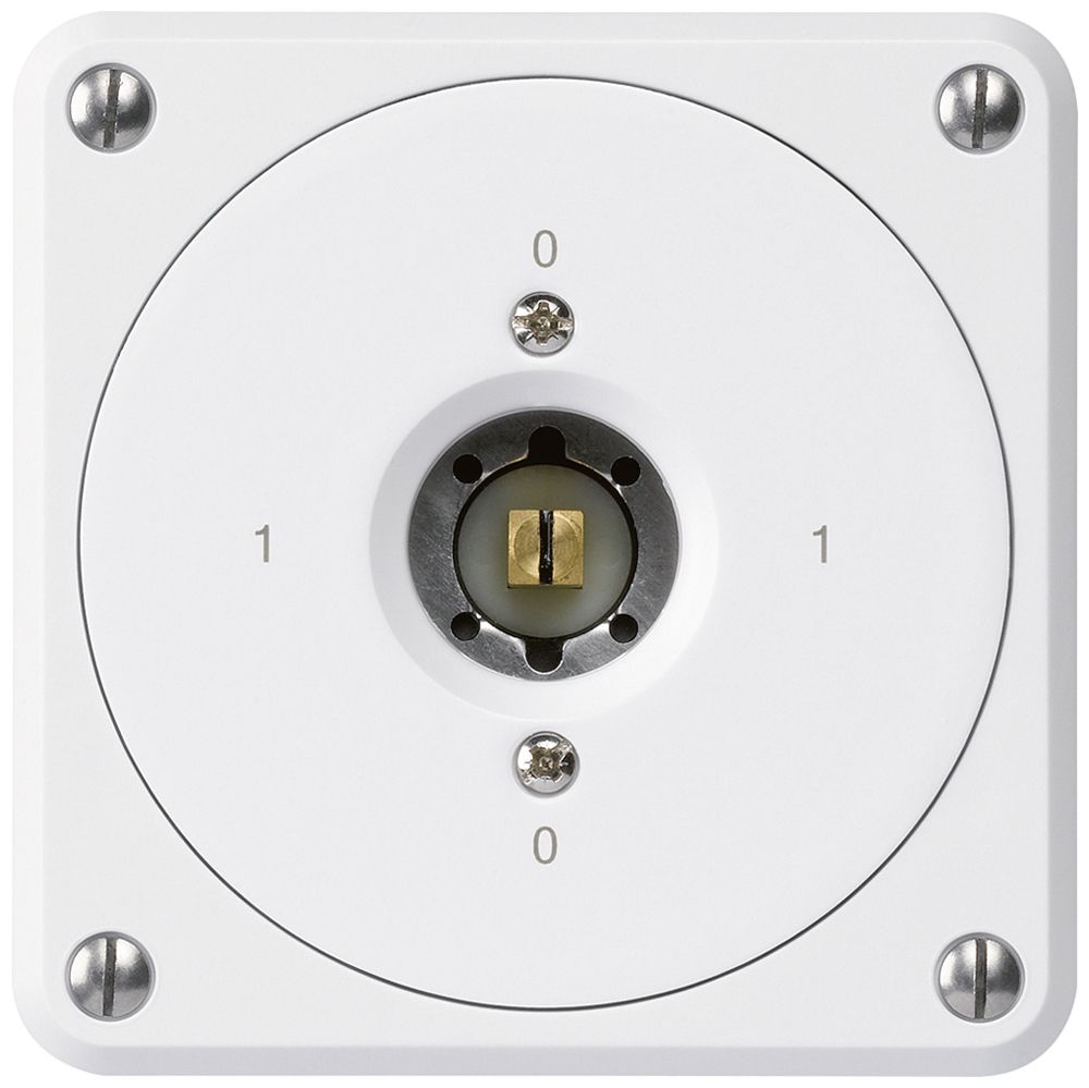 Interrupteur à clé carrée ENC robusto sans clapet 0/3P blanc