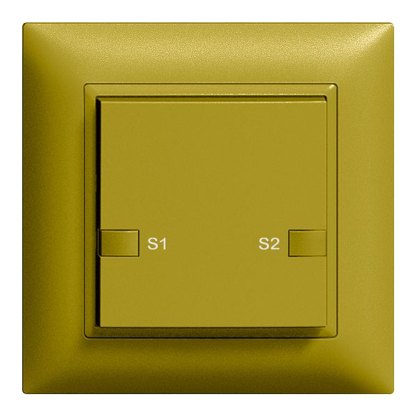 Poussoir ENC ZEP scène 1c/1t station centrale-sec. EDIZIOdue olive