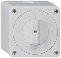 AP-Drehschalter robusto IP55 Schema 0/2P grau