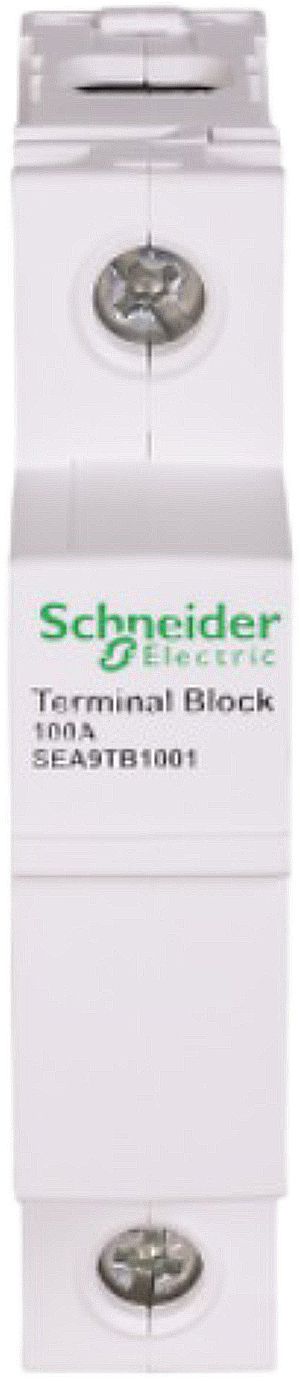 Klemmenblock Schneider Electric 1P 100A