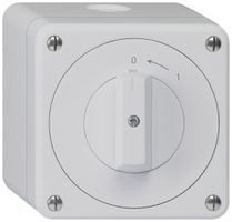 AP-Schwenktaster robusto IP55 grau 1P