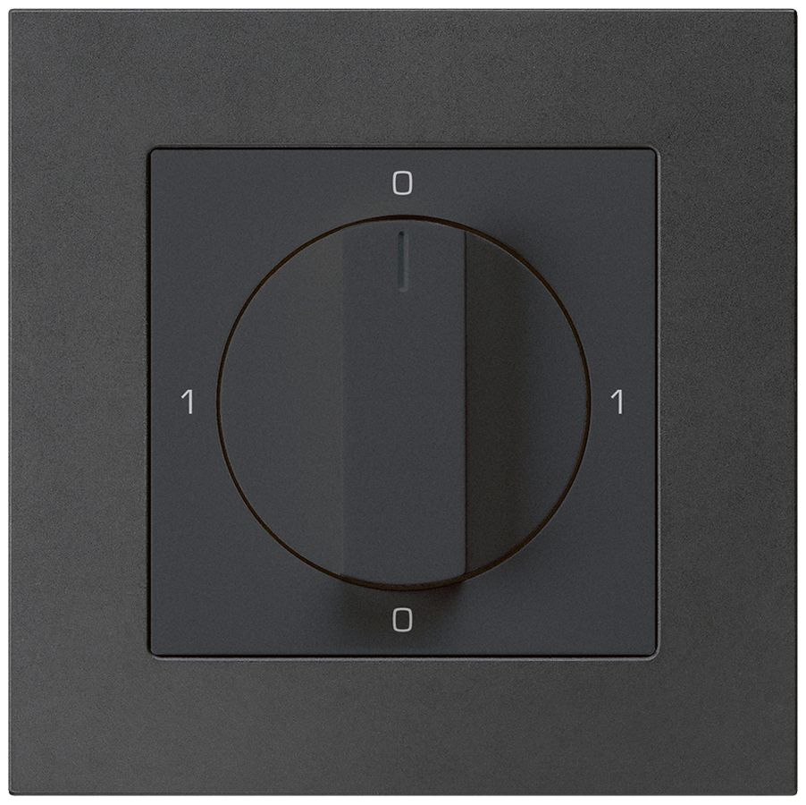 UP-Drehschalter kallysto.pro 0/2L schwarz mit Drehgriff