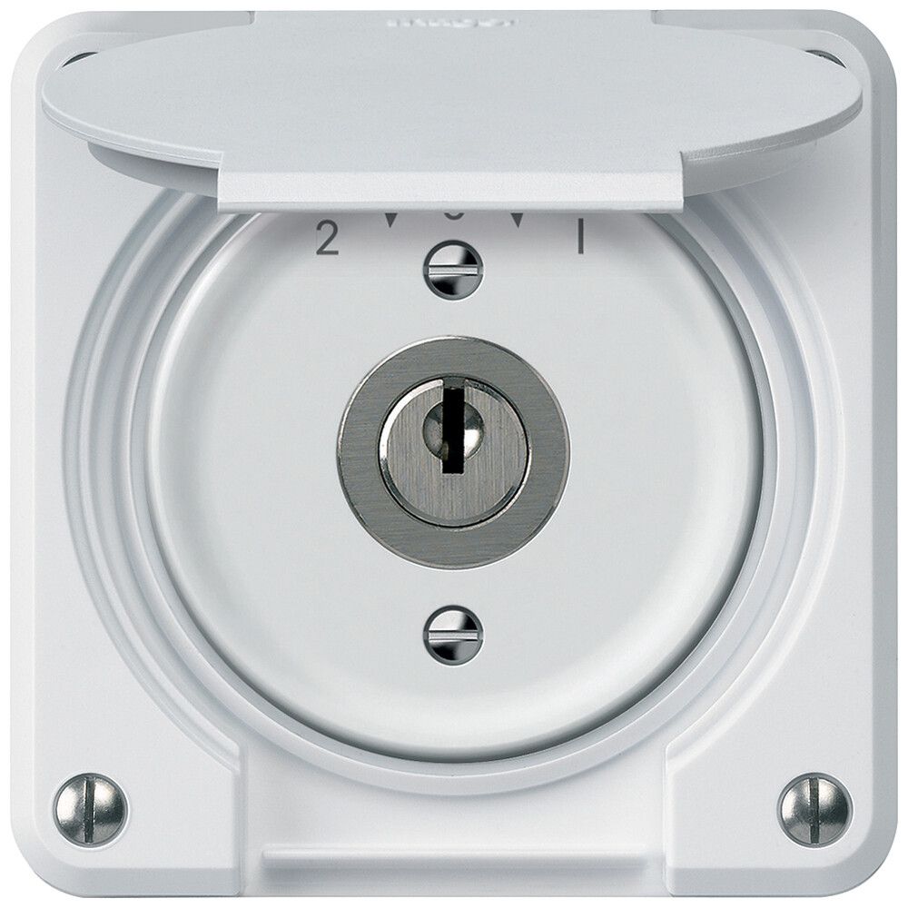 Contact pivotant à clé robusto 1P 2NO 2CO 20A 250V 86×86mm blanc