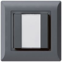 UP-Universaltaster 2×kallysto.line ohne LED anthrazit